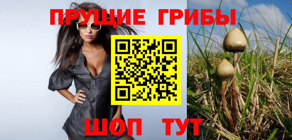 Галлюциногенные грибы мухоморы Коммунар