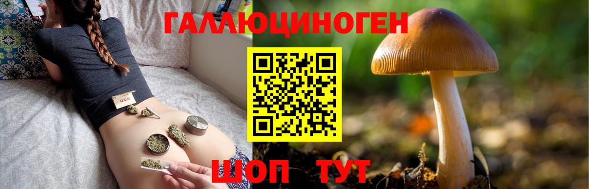 Галлюциногенные грибы Cubensis  Вход с VPN  Коммунар 